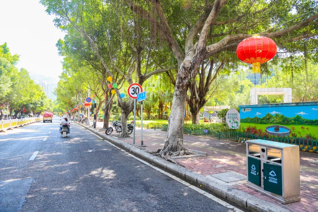 氛围感拉满！长乐街头这么美，为的是……