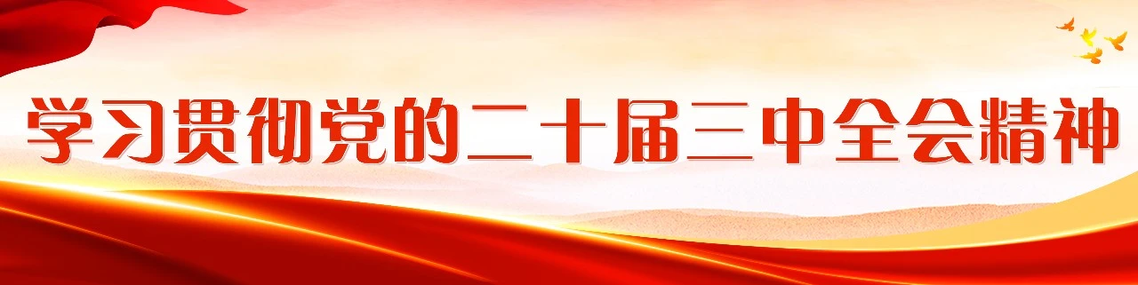区领导开展节前安全生产检查