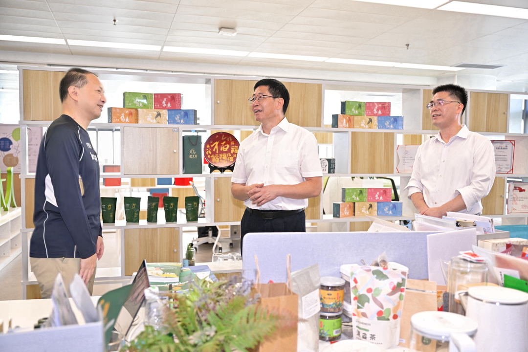 兰文调研两岸融合发展工作